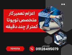 تعمیرکار متخصص