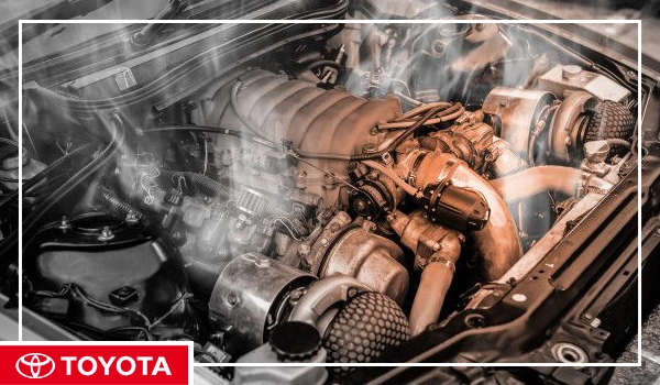 فن رادیاتور خودرو